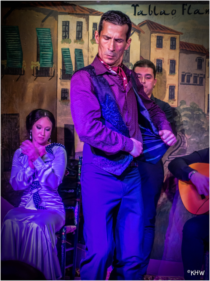 Flamenco in Albazin/Granada