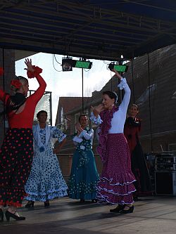 Flamenco in Friesland 1