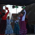 Flamenco in Friesland 1