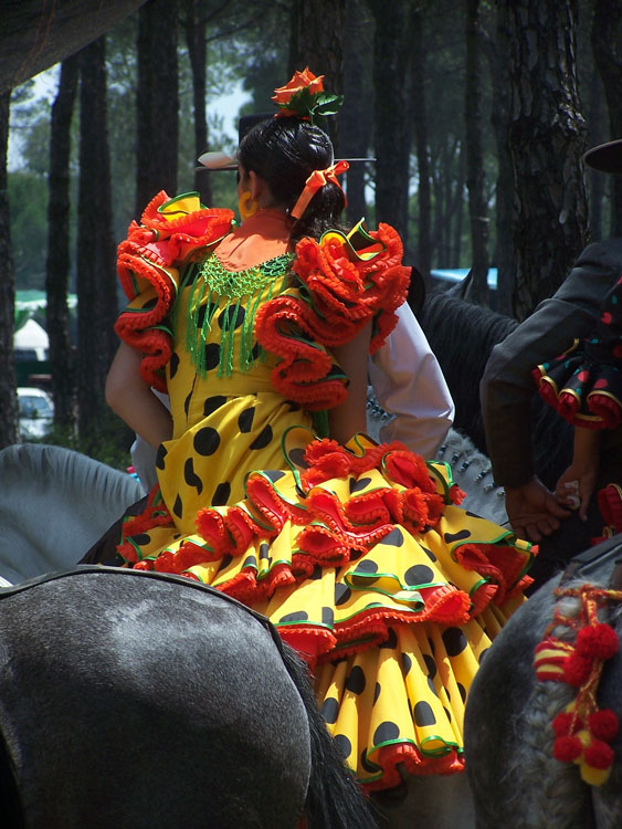 Flamenco in gelb-rot