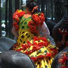 Flamenco in gelb-rot