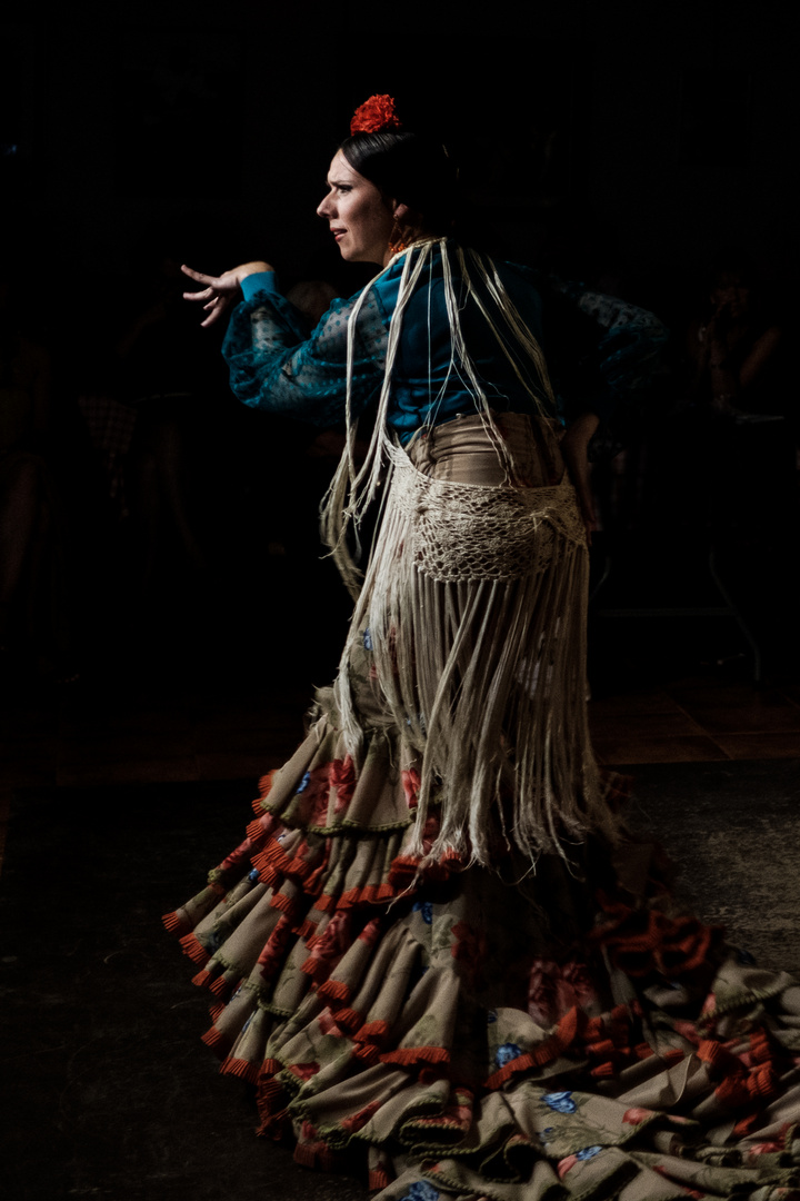 Flamenco In Malaga