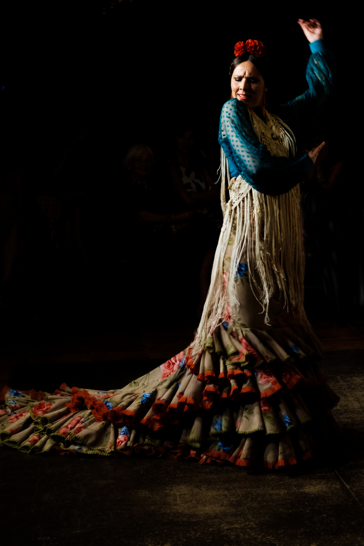 Flamenco in Malaga