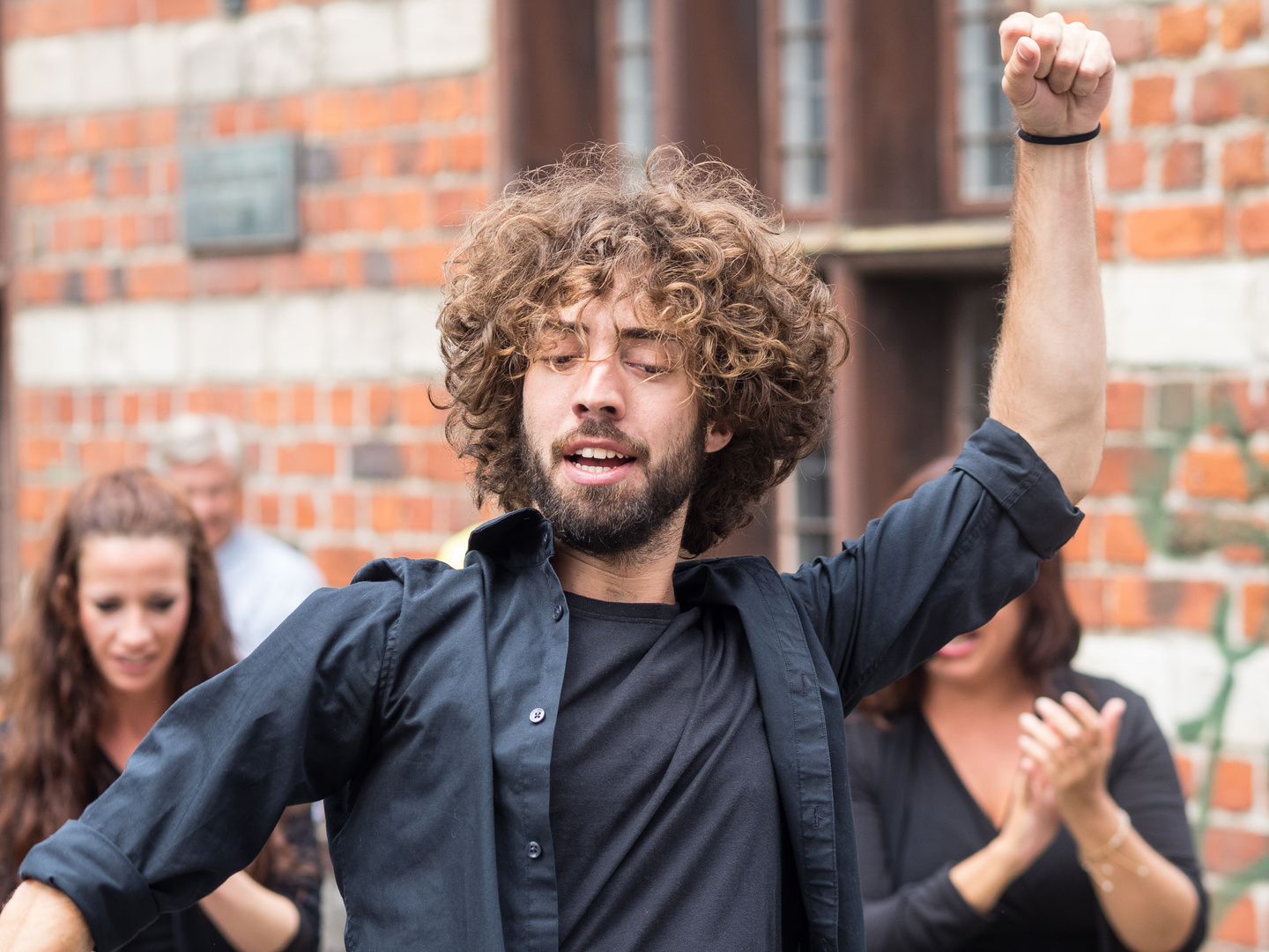 Flamenco in Malmö I