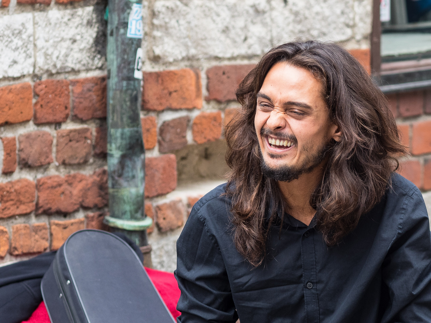 Flamenco in Malmö II