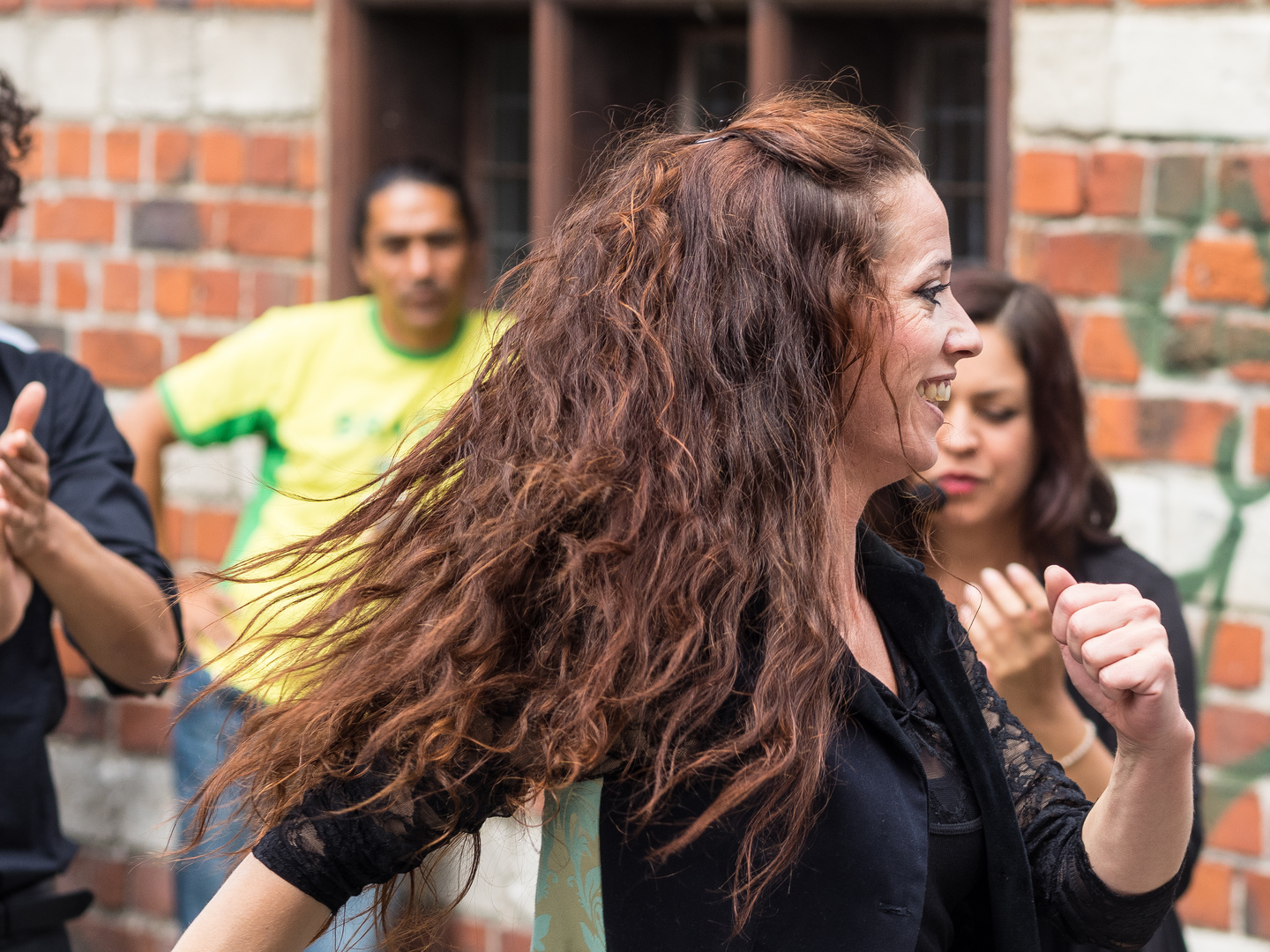 Flamenco in Malmö IV