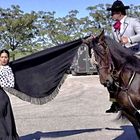 Flamenco mit Pferd und Reiter