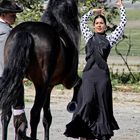Flamenco mit tanzendem Pferd