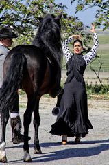 Flamenco mit tanzendem Pferd