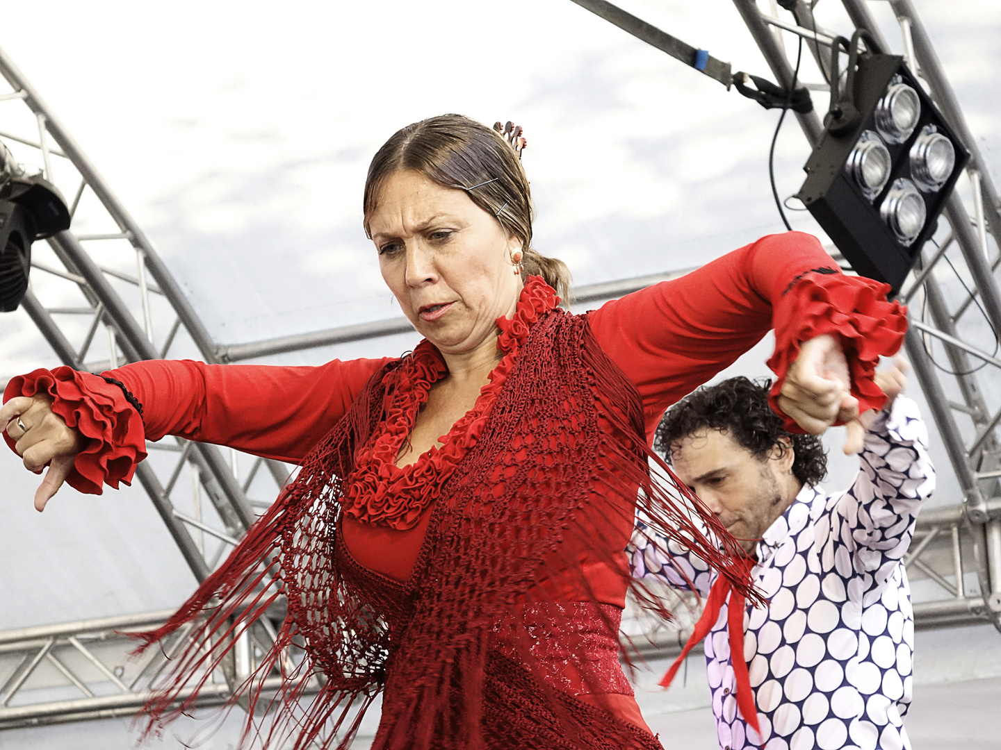 Flamenco pasión