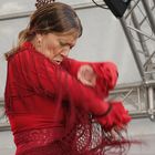 Flamenco pasión