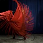 Flamenco Serie Nr 2