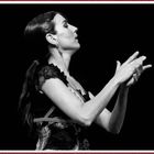 flamenco Sevilla 8