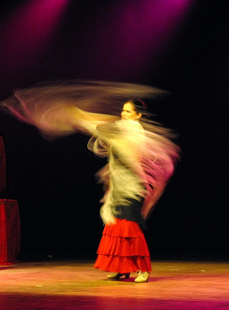 Flamenco singer and dancer