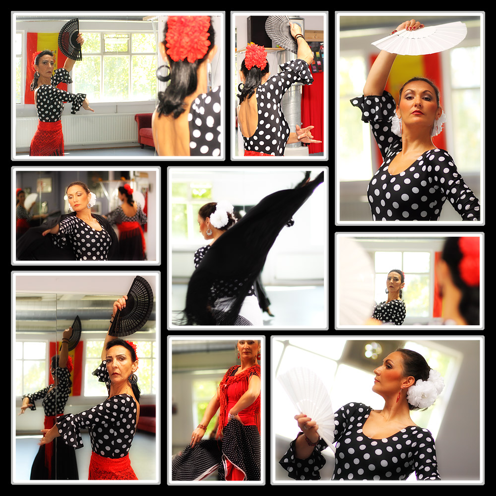 flamenco snapshot