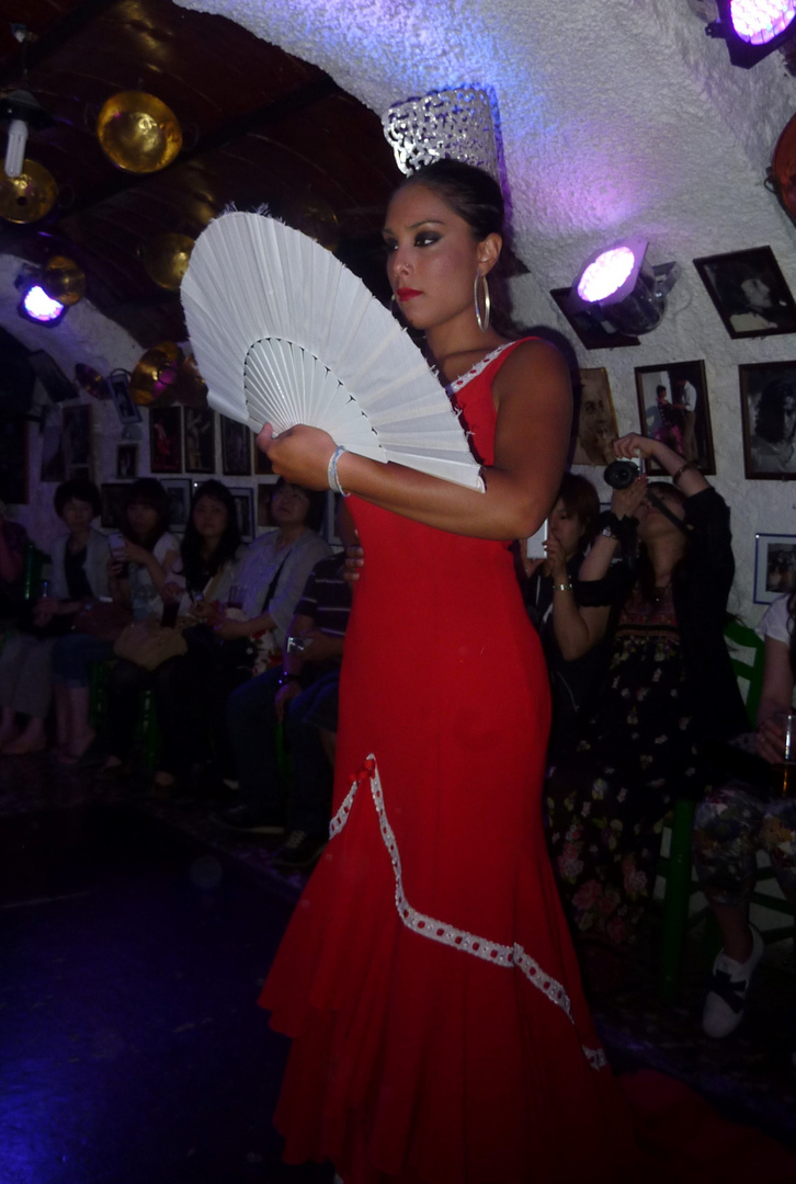 Flamenco Tänzerin