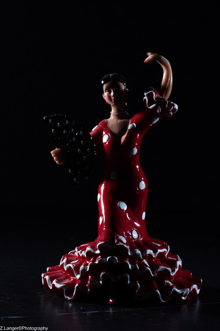 Flamenco Tänzerin