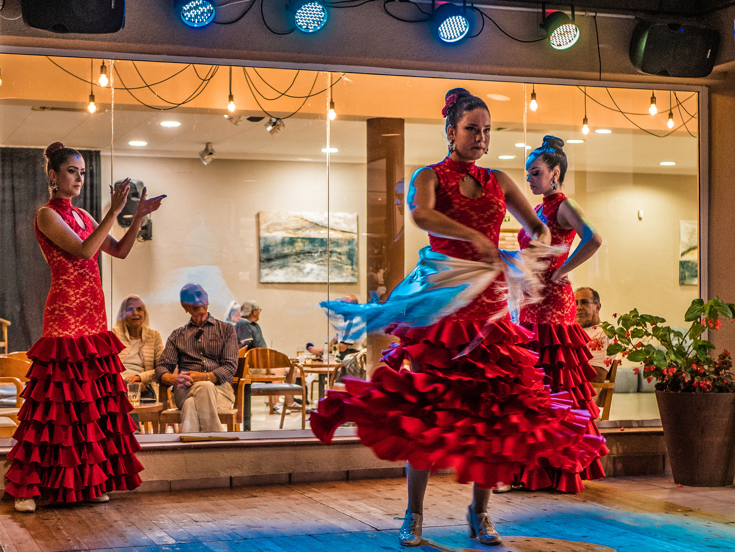 Flamenco vor Glas