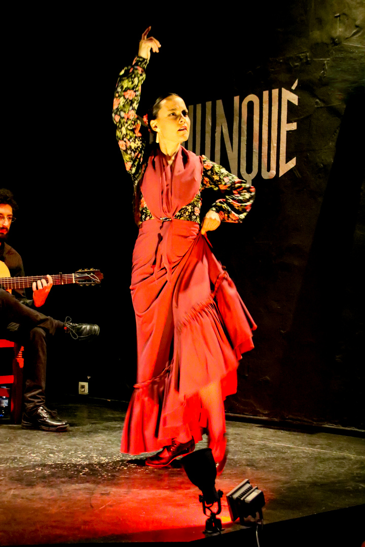 Flamenco_1