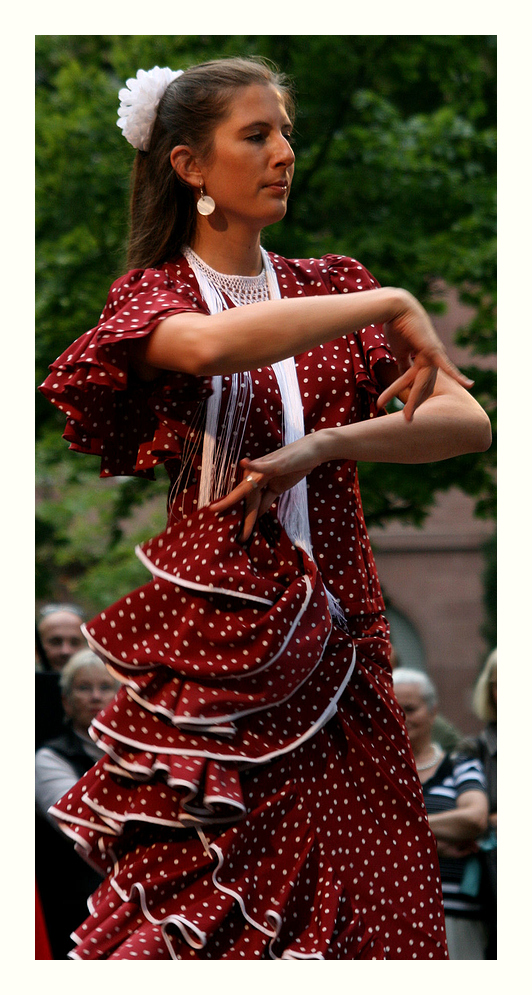 Flamenco_2