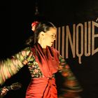 Flamenco_2
