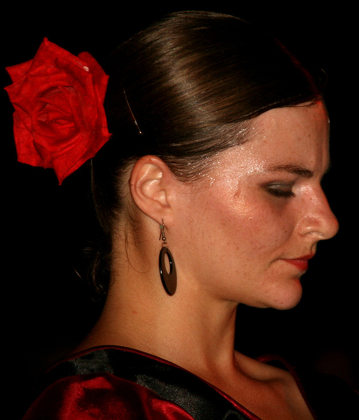 Flamenco_3