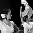 Flamencofestival Stuttgart 2015 Livebühnenfotografie