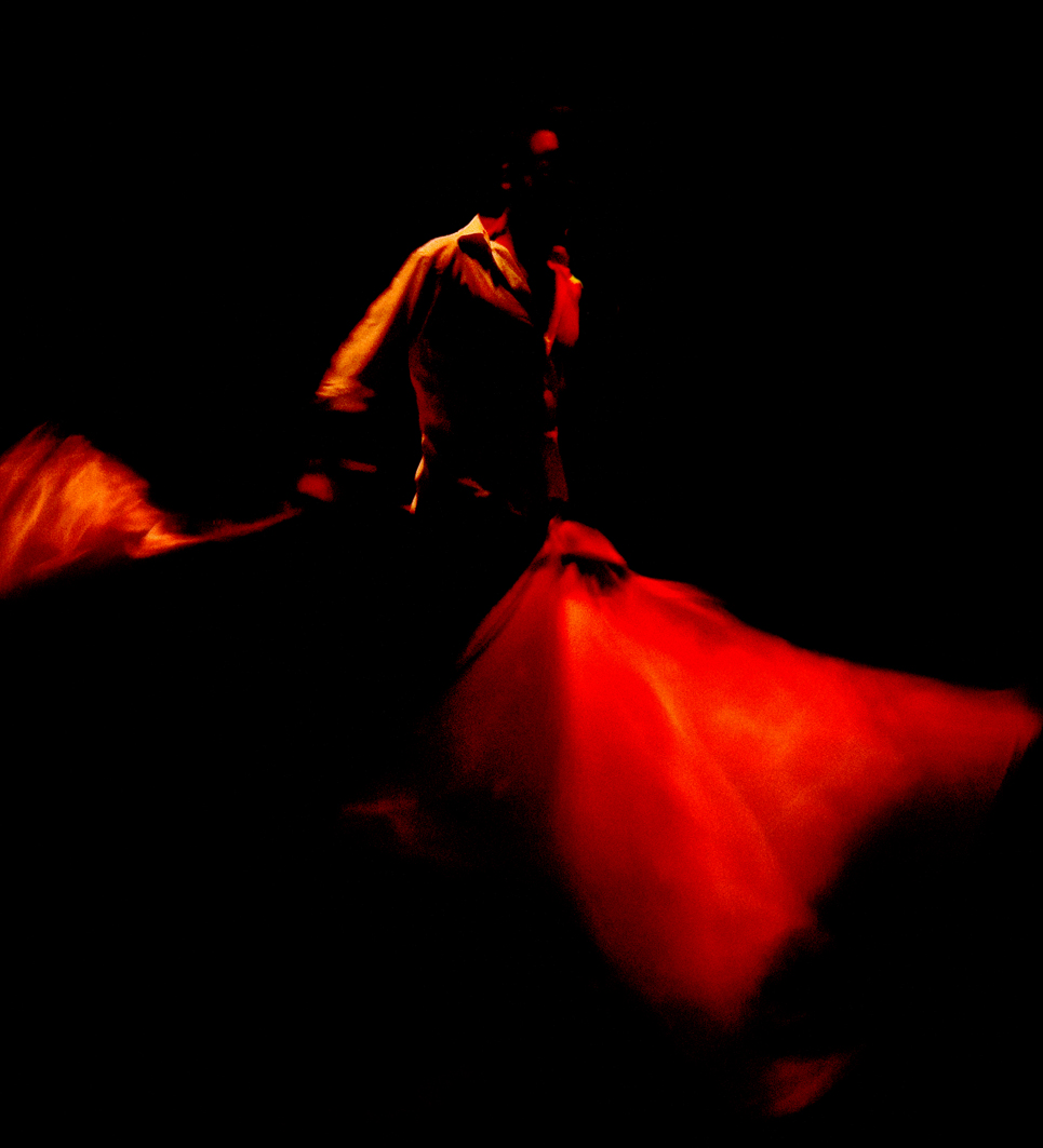 Flamenco_rojo