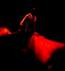 Flamenco_rojo