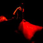 Flamenco_rojo