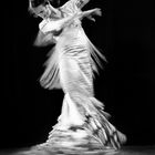 Flamenqueando I - Lucia de Miguel -