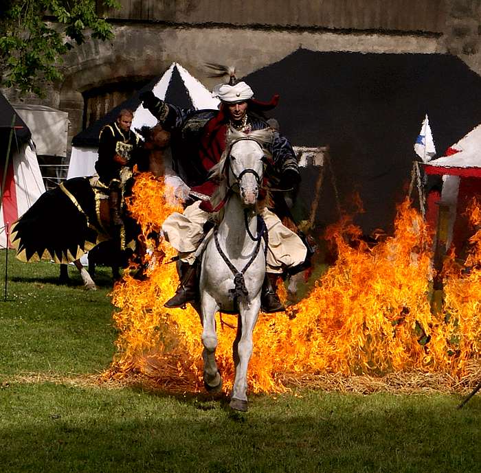 Flamenreiter