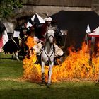 Flamenreiter