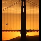 Flaming golden gate sunset in San Francisco