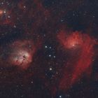 "Flaming Star" Nebel und die kosmischen Kaulquappen