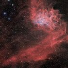 Flaming Star Nebula (IC 405)