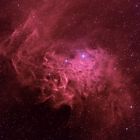 Flaming Star Nebula (IC405) Bicolor