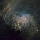 Flaming Star Nebula SHO  (IC405)