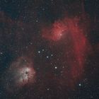 Flaming Star Nebula  und die "Kaulquappe" - IC 405 und IC 410