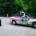 Flamingo Car RIMG4345-1s