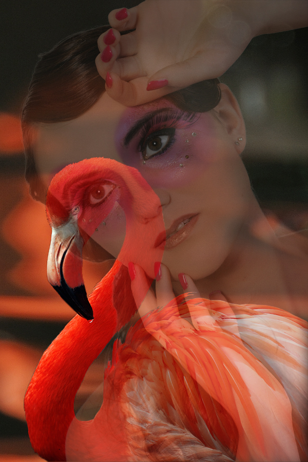 Flamingo-Collage