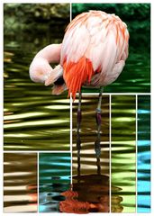 Flamingo Forge