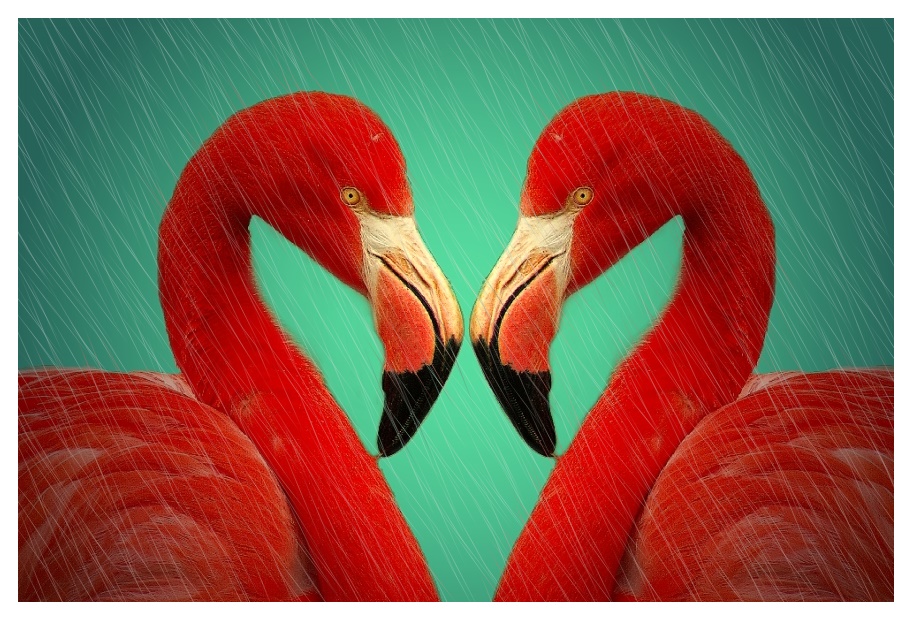 Flamingo Heart