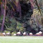 Flamingo Road