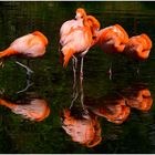 Flamingo Road