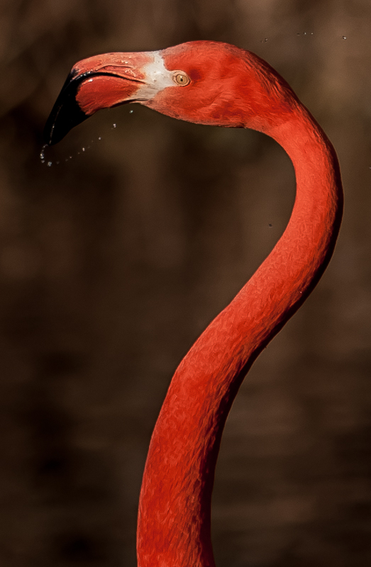 Flamingo-Turm