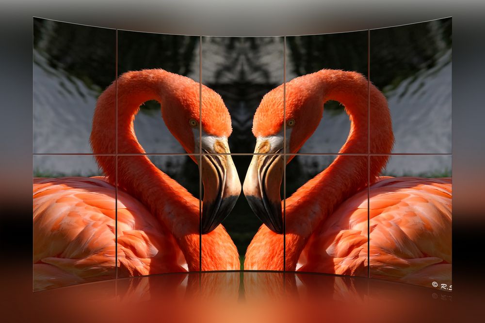 Flamingo-Wand