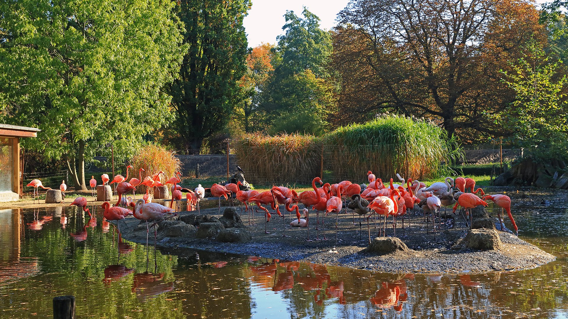 Flamingoland in Dresden "vom Feinsten" wie ich finde...