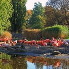 Flamingoland in Dresden "vom Feinsten" wie ich finde...