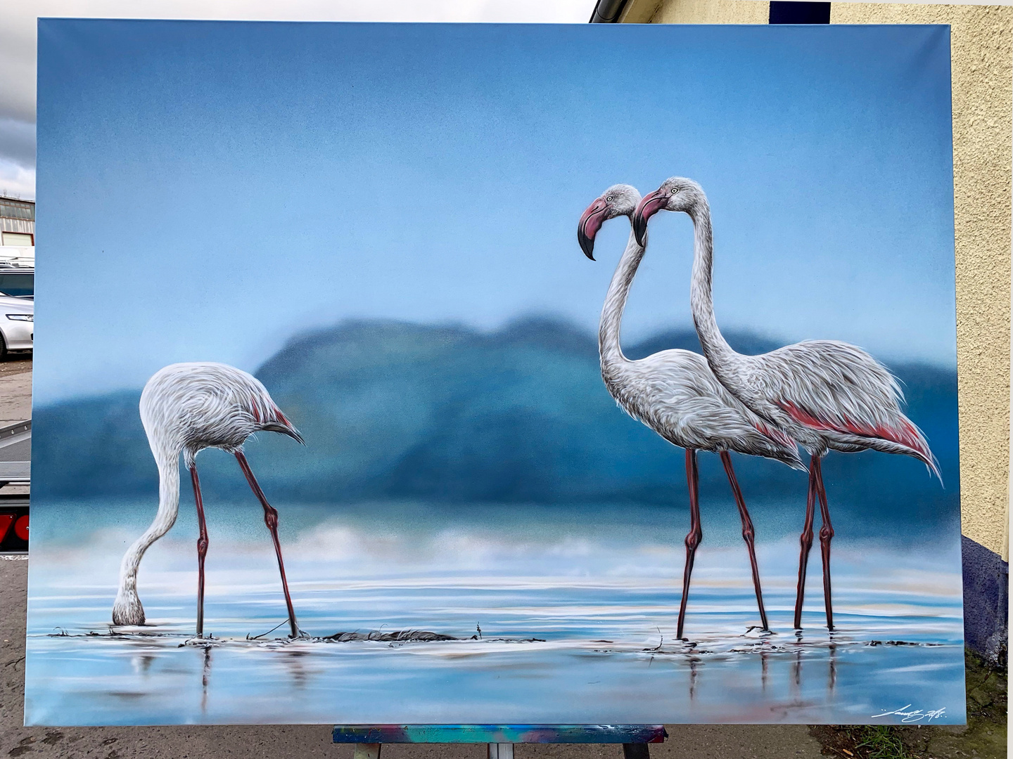 Flamingos